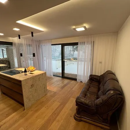 Luxury Lake Villa Lipno nad Vltavou